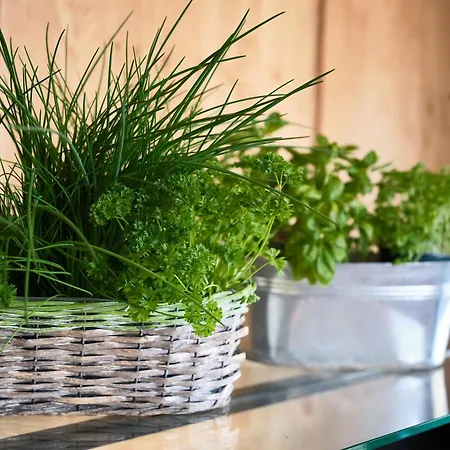 ブロベルガー ホフ ホテル 3*